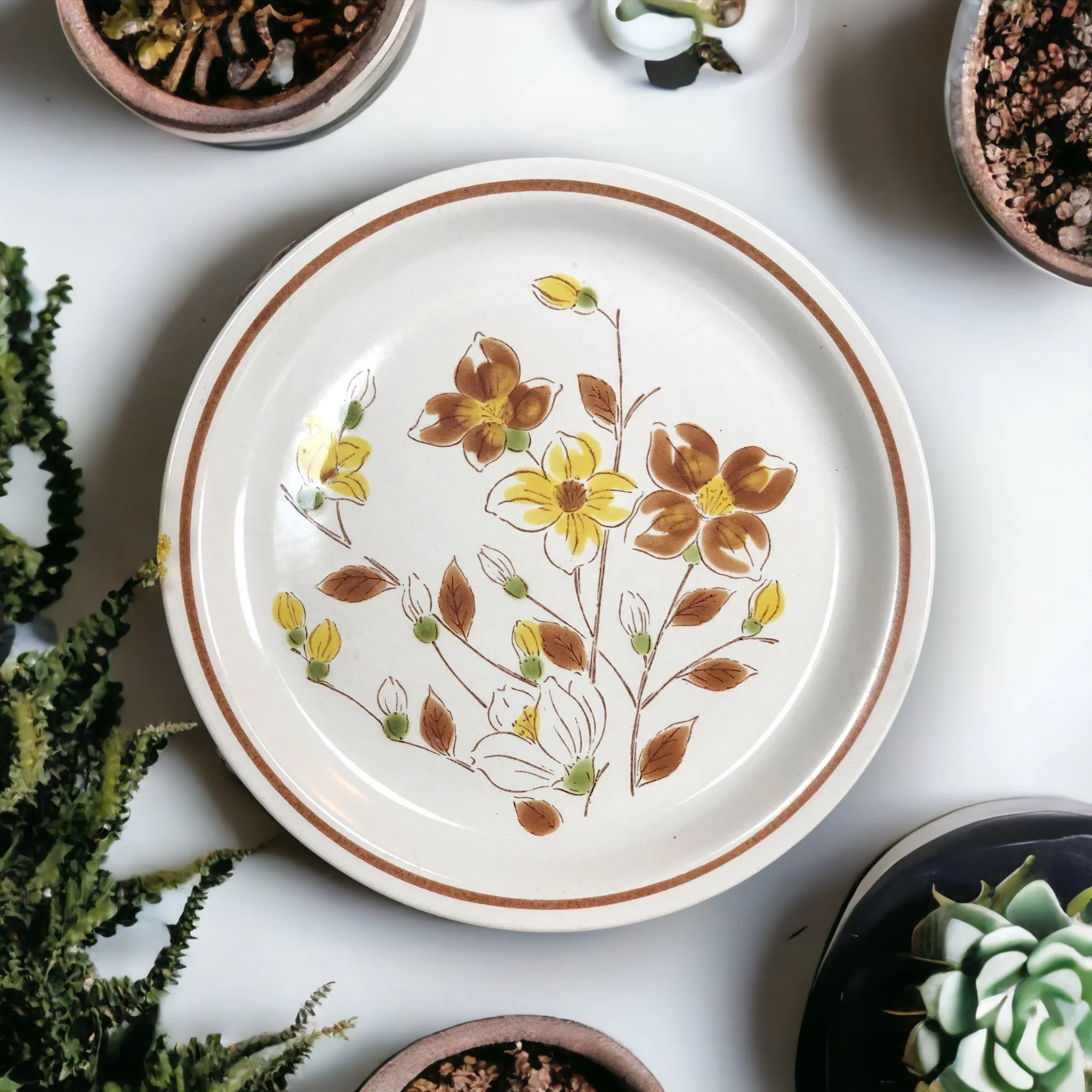 Stone top plate set